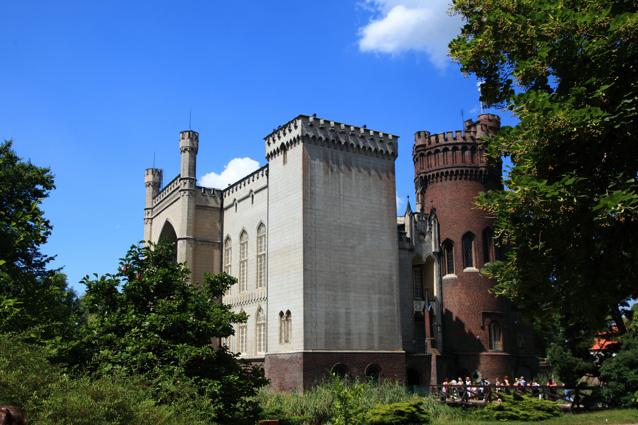 Kornik